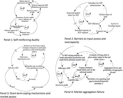 Using Qualitative System Dynamics Analysis to Promote Inclusive Livestock Value Chains: A Case Study of the South African Broiler Value Chain